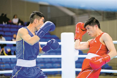 火力拳开！国内最高水平拳击赛开赛