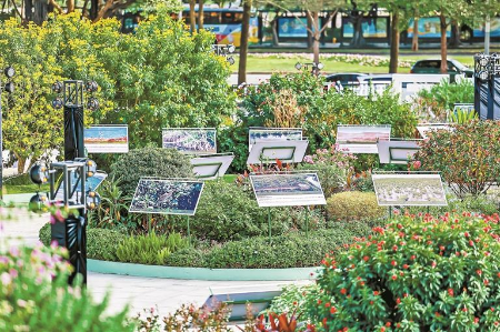 国际红树林之夜在深启幕