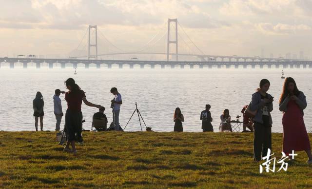 不少游客来到深中通道日出观赏点拍照。&nbsp;