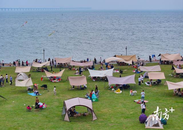 周末或者假期时，翠亨新区海边的大草坪铺满了帐篷。&nbsp;