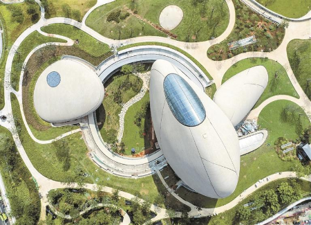 深圳湾文化广场今日10点正式售票